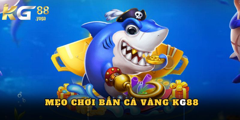 Một vài mẹo chơi game săn cá siêu chất giúp đạt hiệu quả cao