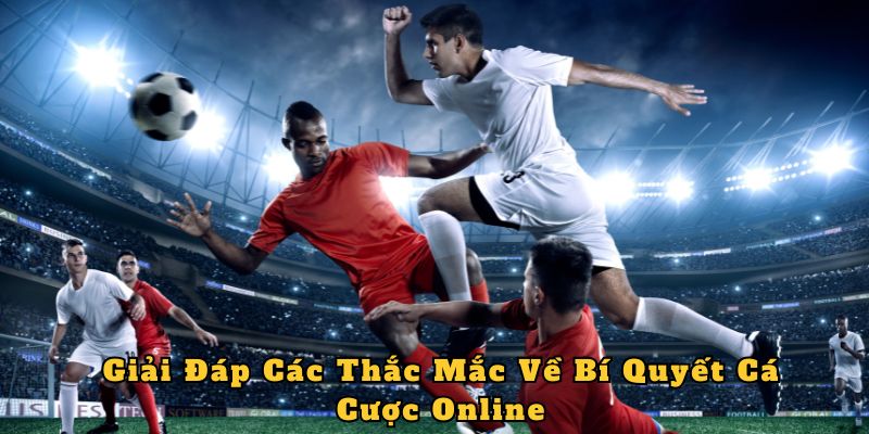 Giải Đáp Các Thắc Mắc Về Bí Quyết Cá Cược Online