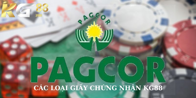 Các loại giấy chứng nhận KG88 mà website đang có 